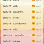 วิกฤตกลับมาแล้ว! ฝุ่นพิษ PM2.5 เกินค่ามาตรฐานปกคลุม 21 อำเภอ เริ่มพบจุดความร้อน