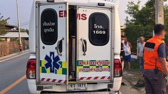ชนดับ