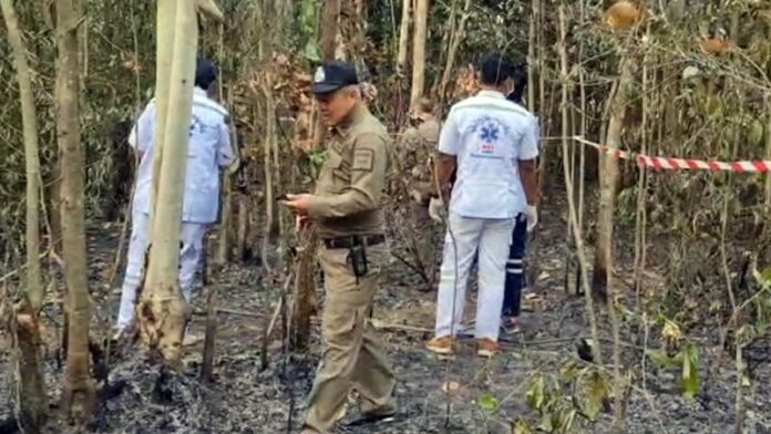 ล้อมป่า