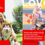 “LOVE is LOVE” เซ็นทรัลพัฒนา ถ่ายทอดนิยามความรักทุกรูปแบบผ่านแคมเปญวาเลนไทน์ 