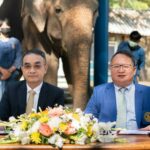 อ.อ.ป. MOU อสส. มุ่งพัฒนาองค์ความรู้ด้านงานวิชาการ - วิจัยสัตวแพทย์ ‘ช้างไทย’