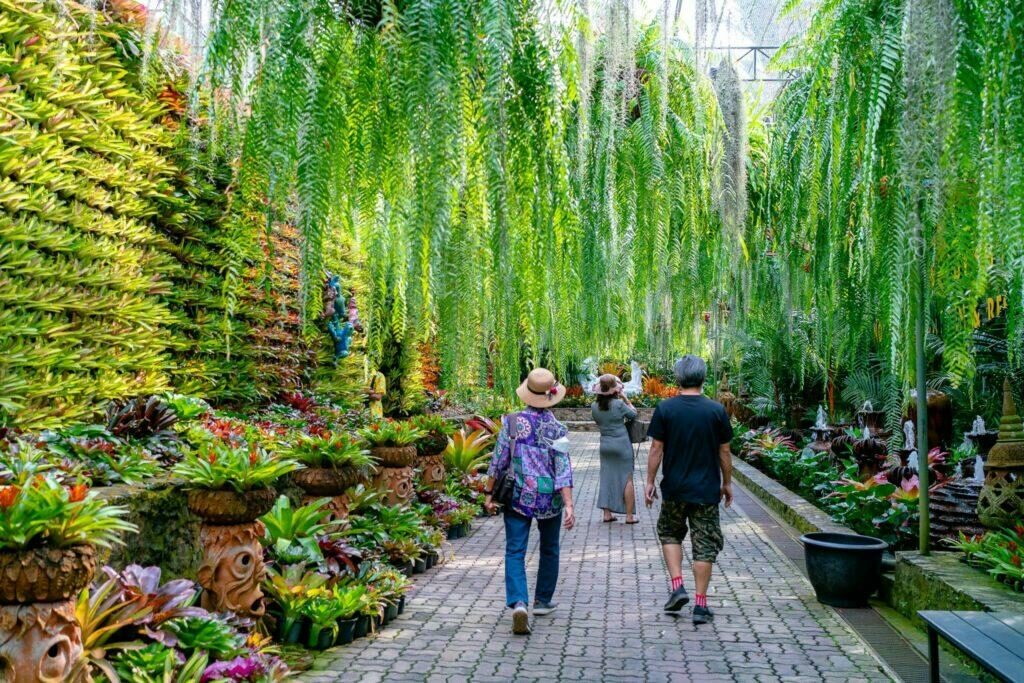 ภาพจากเพจ สวนนงนุช พัทยา Nongnooch Garden Pattaya