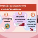กรมอนามัยร่วมกับภาคีเครือข่าย เปิดตัว 77 สถานประกอบการ “สาวไทยแก้มแดง” ต้นแบบ ทั่วประเทศ 