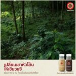ดื่มความสดชื่นเพื่อคืนผืนป่า...ทรูคอฟฟี่ รังสรรค์ “Reforested Coffee Sobkhun Cold Brew” กาแฟสกัดเย็นพร้อมดื่ม
