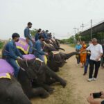 สวนนงนุชพัทยา จัดพิธีรับขวัญช้างเชือกแรกของปี 2566พร้อมจัดขบวนนางรำรับขวัญลูกช้างอย่างยิ่งใหญ่