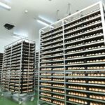 "CPF เปิดโรงฟักแก่งคอย 2 จ.สระบุรี" ชู Smart Hatchery เทคโนโลยีระดับโลก ยกระดับมาตรฐานการผลิตอาหารคุณภาพปลอดภัยสูงสุดสู่ผู้บริโภค