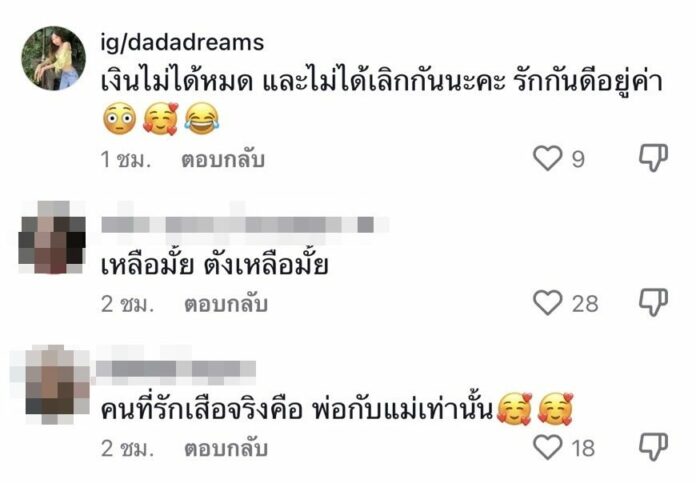 ดรีม โต้ชาวเน็ต