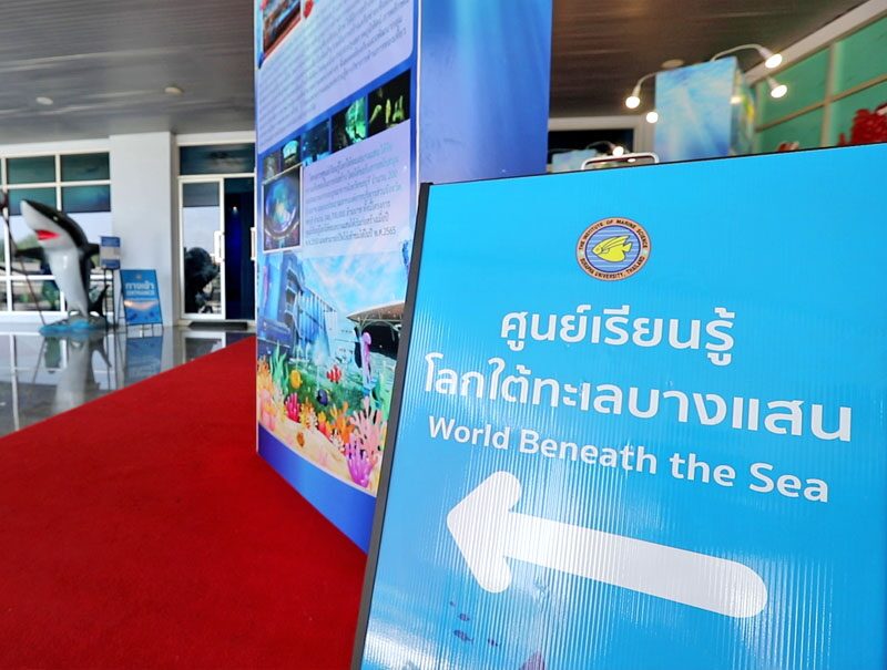 สดจากเยาวชน: ท่องโลกใต้ทะเล