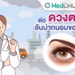แพทย์เตือน 5 โรคฝุ่นพิษ PM 2.5 รุนแรง ภัยร้าย ทำลายดวงตา บ่มเพาะโรคเรื้อรัง-มะเร็ง