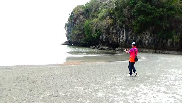 กองทัพปูทหาร นับล้านตัวบุกชายหาดหยงหลิง จ.ตรัง นักท่องเที่ยวแห่ชม