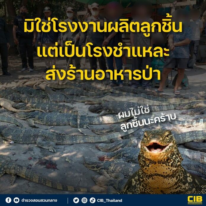สอบสวนกลาง