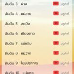 กลับมาแล้ว! PM 2.5 เริ่มสะสมมากขึ้น ค่าฝุ่นพิษวิกฤต ติดอันดับ2โลก เร่งสกัดควันไฟป่า