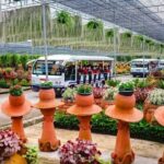 สวนนงนุช จัดโปรโมชั่น เมษายน รับสงกรานต์ เที่ยวแบบครอบครัว ซื้อ 5 ฟรี 1