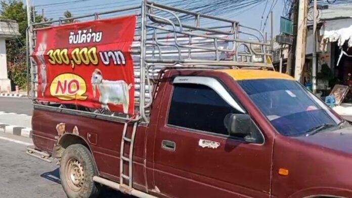 วิ่งทั่ว