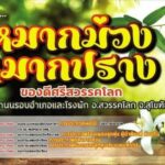จังหวัดสุโขทัย อำเภอสวรรคโลก ชวนคนไทยทั่วประเทศ เที่ยวงานเทศกาล "วันหมากม่วง หมากปราง ของดีศรีสวรรคโลก" ในระหว่างวันที่ 23 - 27 มีนาคม 2566
