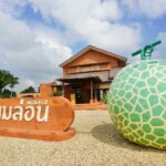 บ้านเมล่อนเดสเสิรท ฉะเชิงเทรา