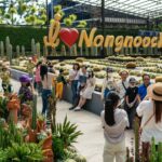 สวนนงนุชพัทยา จัดโปรโมชั่นเดือนเมษายน ซื้อ 5 ฟรี 1 ตอนรับเทศกาลสงกรานต์ เที่ยวแบบครอบครัว ตลอดเดือนเมษายน