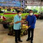 ‘บ้านแพ้ว’ จัดเทศกาลผลไม้และของฝาก ชวนคนกรุงเที่ยวไม่ไกล  ชูไฮไลต์ “สดจากสวน ดีต่อใจ ใกล้เมืองกรุง”