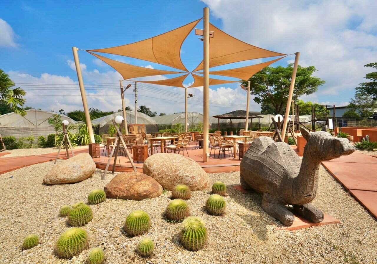การตกแต่งภายในร้านบ้านเมล่อนเดสเสิรท มีประติมากรรมรูปอูฐกลางทะเลทรายพร้อมกระบองเพชรให้ผู้มาเยือนได้ถ่ายรูปเช็คอิน การตกแต่งภายในร้านบ้านเมล่อนเดสเสิรท มีประติมากรรมรูปอูฐกลางทะเลทรายพร้อมกระบองเพชรให้ผู้มาเยือนได้ถ่ายรูปเช็คอิน