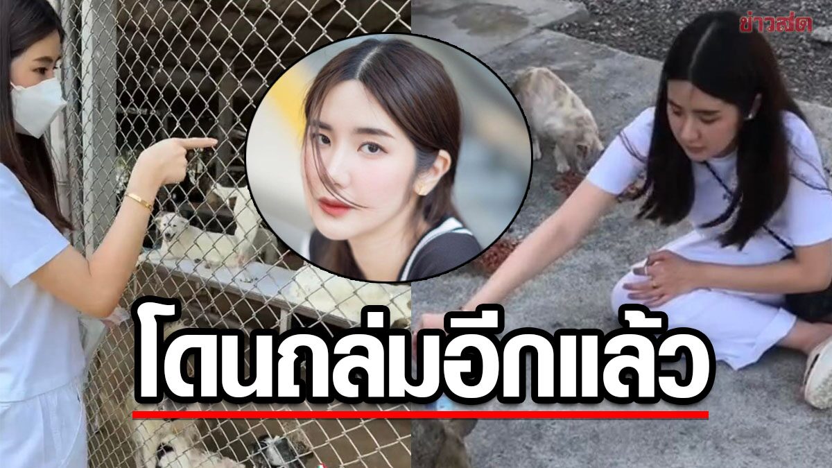 เละเต็มโซเชียล! นุ่น สุทธิภา โดนถล่มอีกแล้ว ทำดีเมตตาต่อสัตว์ โดนแซะแรงเว่อร์ 