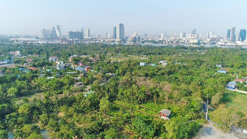 สดจากเยาวชน: เด็กบางกะเจ้า