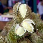 สยามพารากอน จัดเทศกาลผลไม้สุดยิ่งใหญ่ จัดเต็ม 'บุฟเฟต์ทุเรียน' ถึง 3 พ.ค. นี้