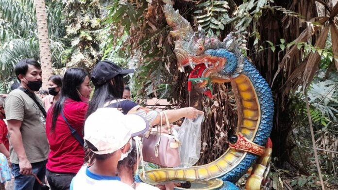 พ่อปู่