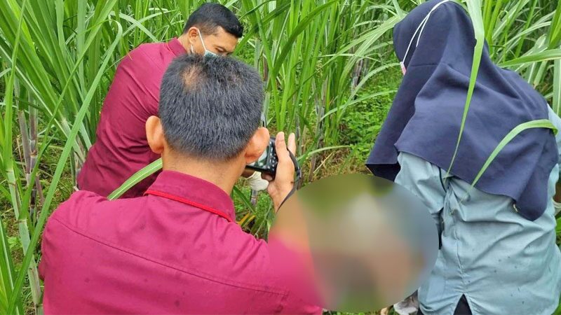 จับสามี “ทิ้งเมียท้องแก่”
