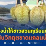 ชป. ส่งน้ำให้ชาวสวนทุเรียนป่าละอู พ้นวิกฤตขาดแคลนน้ำ