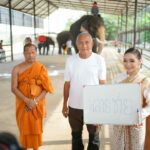 เชือกที่ 2 ของปี สวนนงนุชพัทยา จัดพิธีรับขวัญช้างน้อย “พลายชาย” พร้อมจัดขบวนนางรำรับขวัญลูกช้าง