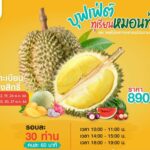 พร้อมแล้ว! เจียไต๋ฟาร์มชวนคนรักทุเรียนมาอิ่มอร่อย จุใจ ไปกับบุฟเฟ่ต์ทุเรียนหมอนทองสุดพรีเมียม