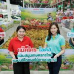 แม็คโคร - โลตัส จับมือ กรมการค้าภายใน ผนึกกำลังช่วยชาวสวนไทยรับซื้อผลไม้ตามฤดูกาลกว่า 54 ล้านกิโลกรัม สร้างเม็ดเงินสู่เกษตรกรกว่า 2,200 ล้านบาท