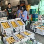 เจ้าของตลาดสุวพันธุ์ผนึกพาณิชย์จังหวัด ตรวจซื้อขายมะม่วง ยันราคาไม่ตก ลูกค้าซื้อขายปกติ ออเดอร์เข้าเพียบ 