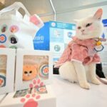 ททท. จับเทรนด์คนรักสัตว์มาแรง เปิดโครงการ Amazing Happy Paws Thailand  บูมแหล่งท่องเที่ยวเพื่อสัตว์เลี้ยง แฮปปี้ทั่วไทยสไตล์ครอบครัวสี่ขา
