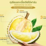 พร้อมแล้ว! เจียไต๋ฟาร์มชวนคนรักทุเรียนมาอิ่มอร่อย จุใจ ไปกับบุฟเฟ่ต์ทุเรียนหมอนทองสุดพรีเมียม