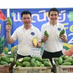 ยุทธการ "กรมการค้าภายใน" ประคองมะม่วง ปี 2566 ดึงมือดี "อมก๋อย โมเดล" บุกสวน กลาง-เหนือ-ใต้ ซื้อล่วงหน้า ราคานำตลาด เร่งกระจาย