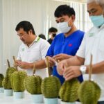 ตลาดไท จัดอบรม “คัดทุเรียนแบบเซียน ทำกำไรได้งาม” 