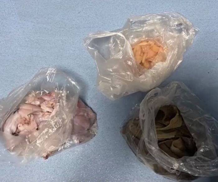 ขโมยอาหารกลับบ้าน