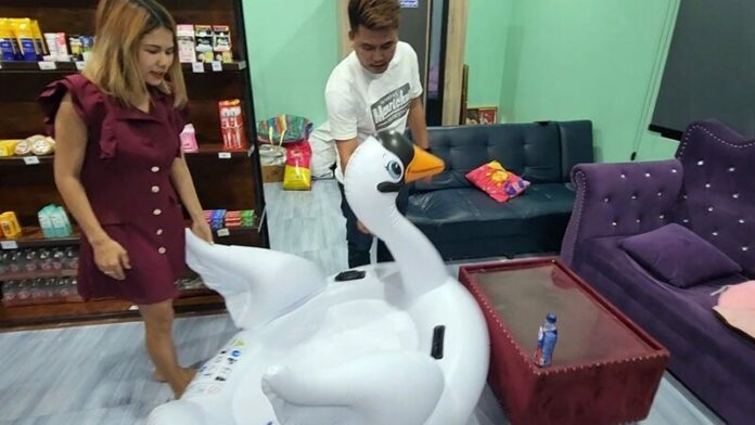 ดูเป็ด