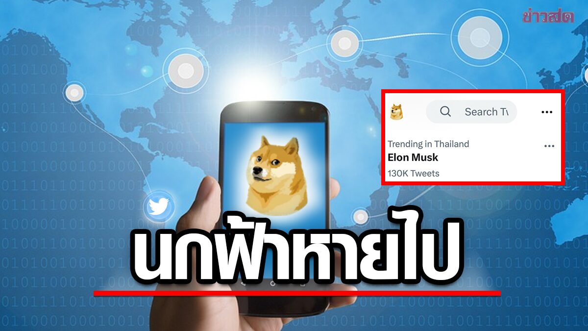 ถึงกับงง! โลโก้ Twitter เปลี่ยนไป จาก "นกฟ้า" สู่ “หมาชิบะ”