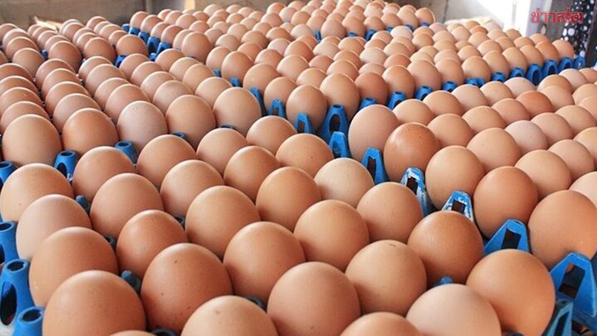 ขึ้นอีกฟองละ 20 สตางค์ ไข่ไก่คละหน้าฟาร์ม พาณิชย์ยันราคายังอยู่ในเกณฑ์ที่ดูแล