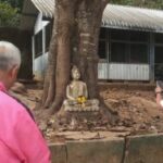 แปลก พระพุทธรูปโบราณ ถูกโพธิ์ดูดติดโคนต้น ชาวบ้านเชื่อศักดิ์สิทธิ์ แห่กราบไหว้ขอพร