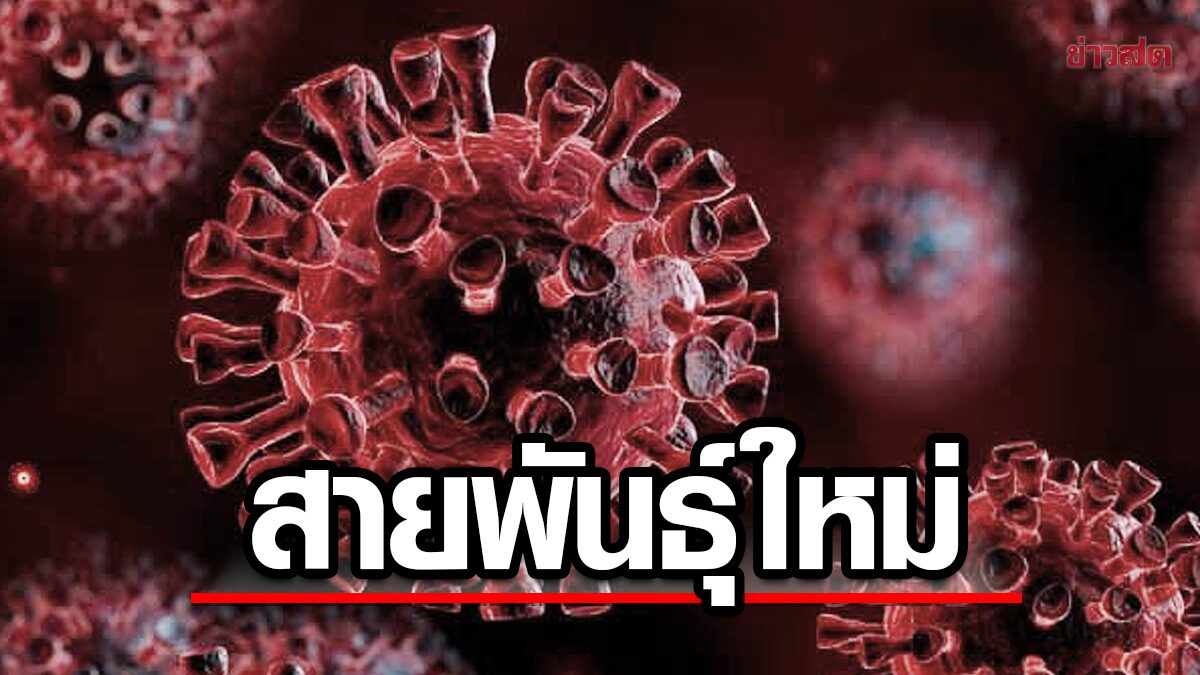 สายพันธุ์ใหม่ สธ. จับตา โควิด FU.1 แพร่เร็วมาก เผย พบในไทยแล้ว - ข่าวสด