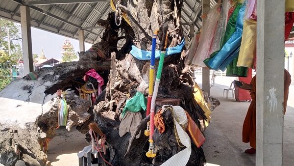ชาวบ้านแห่ซื้อเครื่องสำอาง-ชุดไทยถวาย เจ้าแม่ตะเคียนทอง 5 พี่น้อง วัดดังเมืองโคราช หลังให้โชคหลายงวด
