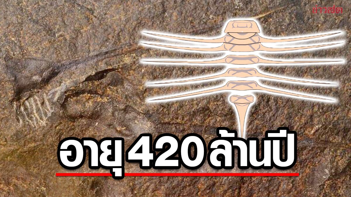 นักวิจัยพบฟอสซิล “สัตว์ขาปล้องน้ำจืด” มีหนามแหลมรอบตัว-อายุ 420 ล้านปี