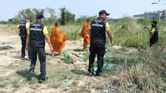 ป่า
