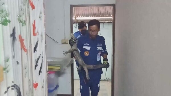 ตัวแลนอึเลขที่บ้าน