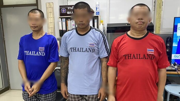 3อัลชี