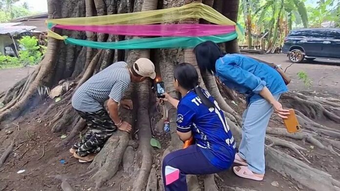 เลขหวย