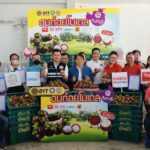 กรมการค้าภายในใช้ “อมก๋อย โมเดล” ประสานผู้ประกอบการซื้อมังคุด 8,500 ตัน 